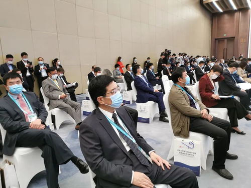 碩果累累 陳平市長率團赴上海進博會招商，聚焦新興能源技術研發